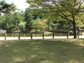 IMG_6527.JPG