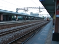 IMG_6887.JPG