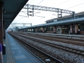 IMG_6890.JPG