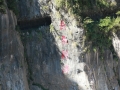 IMG_6946.JPG