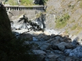 IMG_7000.JPG