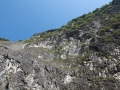 IMG_7011.JPG