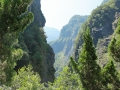 IMG_7025.JPG