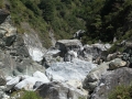 IMG_7033.JPG